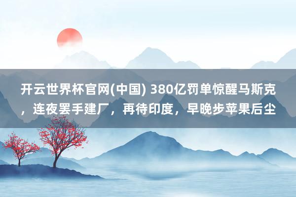 开云世界杯官网(中国) 380亿罚单惊醒马斯克，连夜罢手建厂，再待印度，早晚步苹果后尘