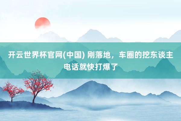 开云世界杯官网(中国) 刚落地，车圈的挖东谈主电话就快打爆了