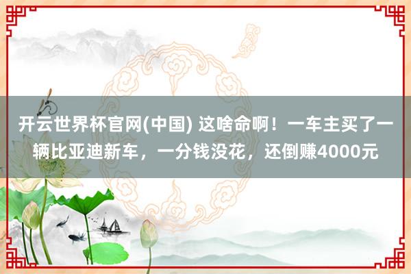 开云世界杯官网(中国) 这啥命啊！一车主买了一辆比亚迪新车，一分钱没花，还倒赚4000元