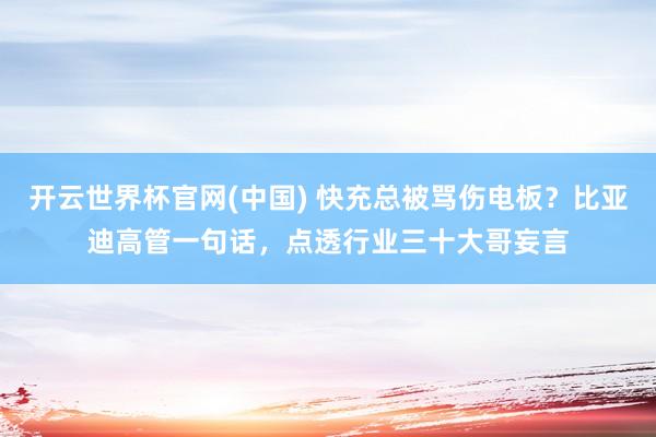 开云世界杯官网(中国) 快充总被骂伤电板？比亚迪高管一句话，点透行业三十大哥妄言