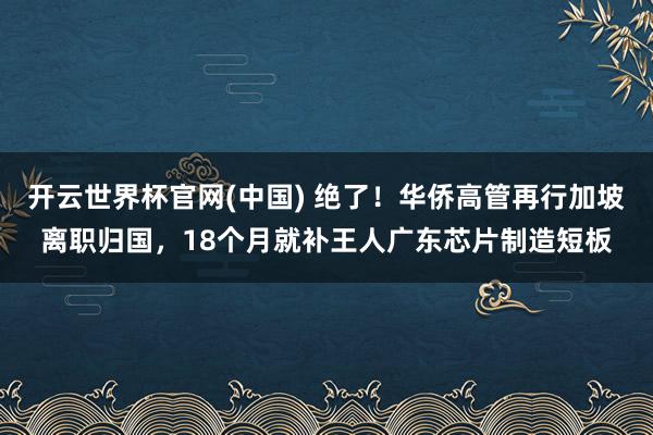 开云世界杯官网(中国) 绝了！华侨高管再行加坡离职归国，18个月就补王人广东芯片制造短板