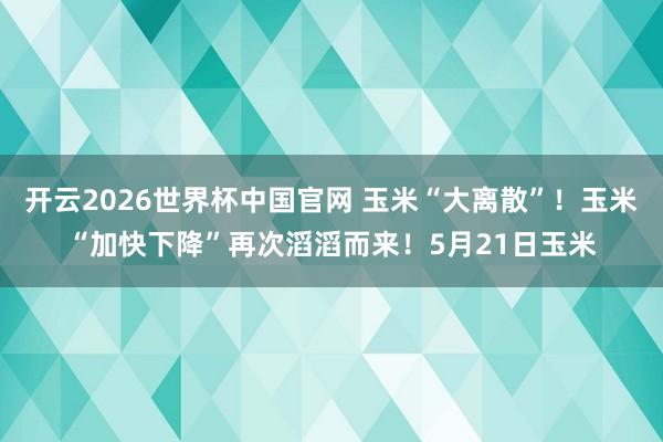 开云2026世界杯中国官网 玉米“大离散”！玉米“加快下降”再次滔滔而来！5月21日玉米