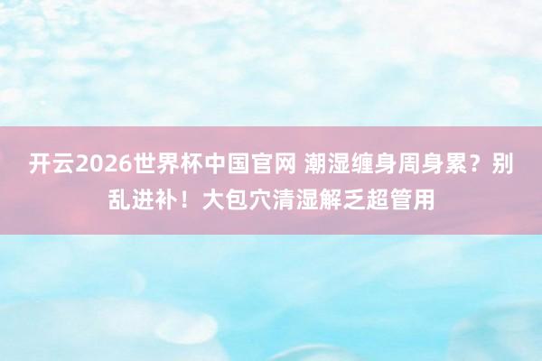 开云2026世界杯中国官网 潮湿缠身周身累？别乱进补！大包穴清湿解乏超管用