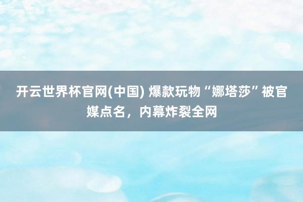 开云世界杯官网(中国) 爆款玩物“娜塔莎”被官媒点名，内幕炸裂全网