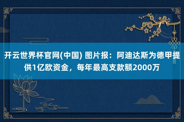 开云世界杯官网(中国) 图片报：阿迪达斯为德甲提供1亿欧资金，每年最高支款额2000万