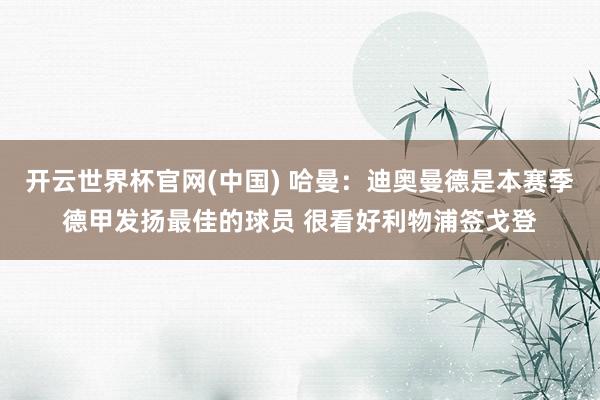 开云世界杯官网(中国) 哈曼：迪奥曼德是本赛季德甲发扬最佳的球员 很看好利物浦签戈登