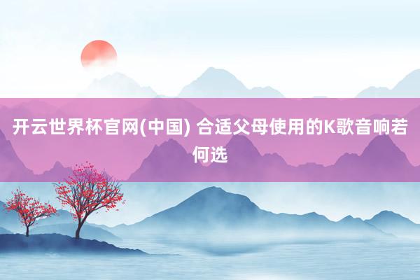 开云世界杯官网(中国) 合适父母使用的K歌音响若何选