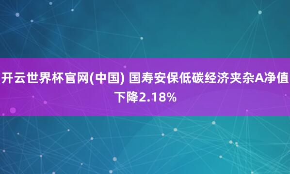 开云世界杯官网(中国) 国寿安保低碳经济夹杂A净值下降2.18%
