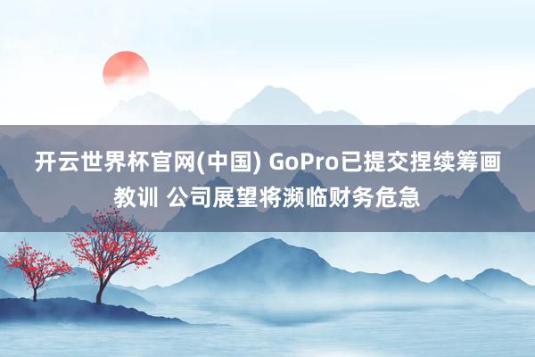 开云世界杯官网(中国) GoPro已提交捏续筹画教训 公司展望将濒临财务危急