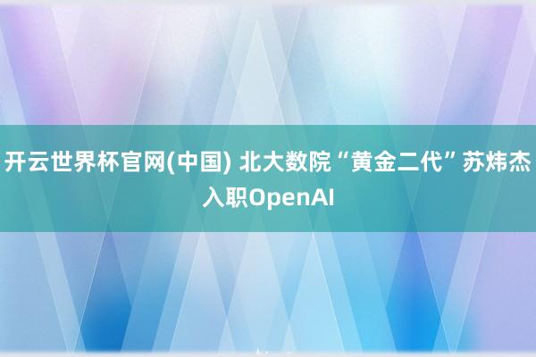 开云世界杯官网(中国) 北大数院“黄金二代”苏炜杰入职OpenAI