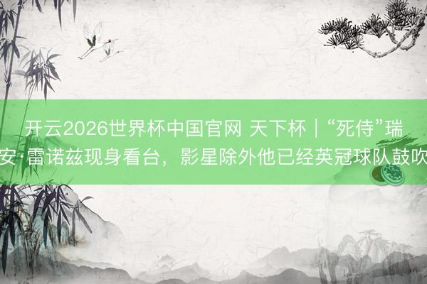 开云2026世界杯中国官网 天下杯|“死侍”瑞安·雷诺兹现身看台,影星除外他已经英冠球队鼓吹