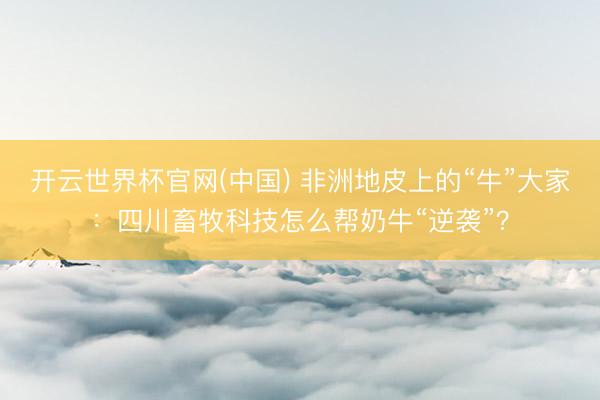 开云世界杯官网(中国) 非洲地皮上的“牛”大家：四川畜牧科技怎么帮奶牛“逆袭”？