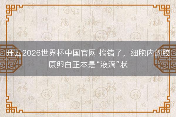 开云2026世界杯中国官网 搞错了，细胞内的胶原卵白正本是“液滴”状