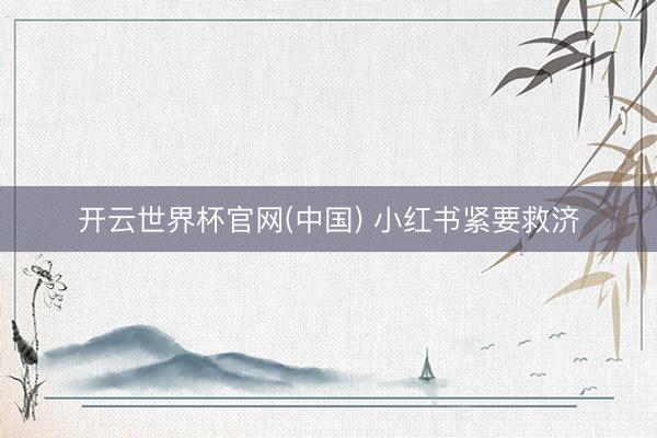 开云世界杯官网(中国) 小红书紧要救济