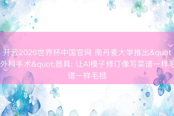 开云2026世界杯中国官网 南丹麦大学推出"脑外科手术"器具: 让AI模子修订像写菜谱一样毛糙