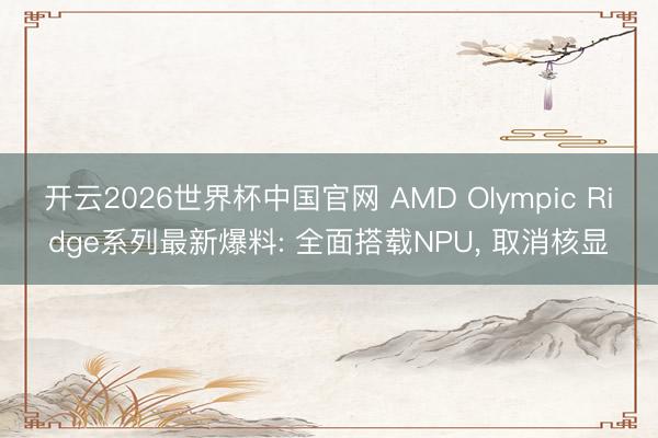 开云2026世界杯中国官网 AMD Olympic Ridge系列最新爆料: 全面搭载NPU， 取消核显